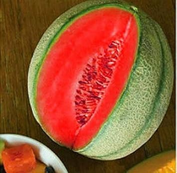 Red Cantaloupe Melon Fruit Seeds for Planting - Grow Your Own Superfood at Home